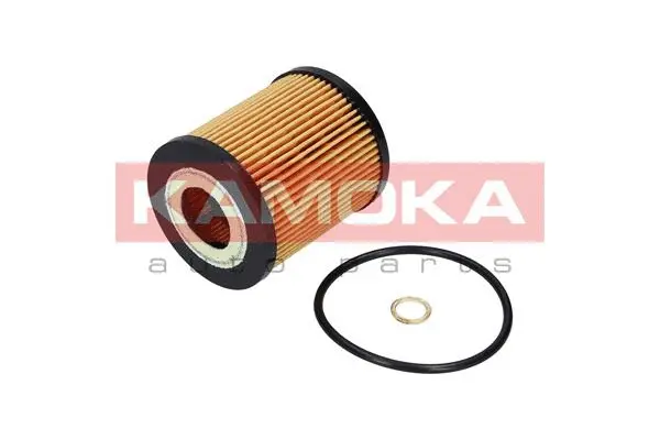 Oil Filter (F109401)
