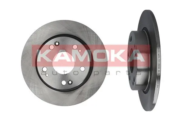 Brake Disc (1031028)