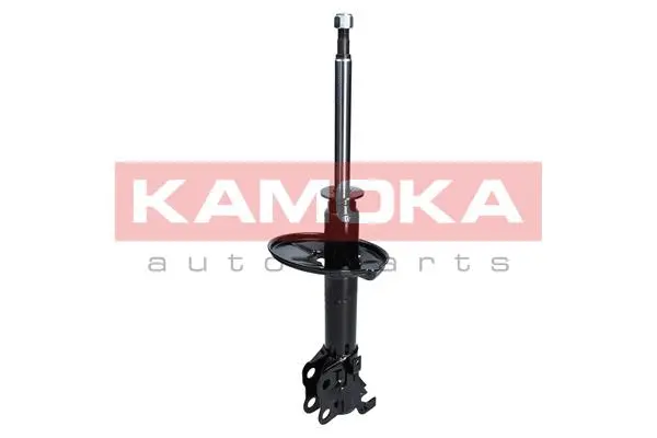 Shock Absorber (2000163)