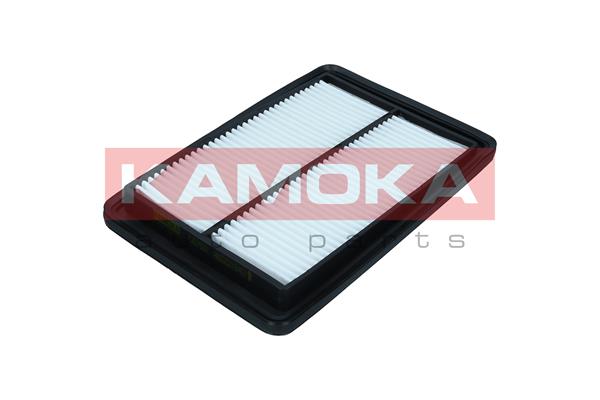 Air Filter (F257501)