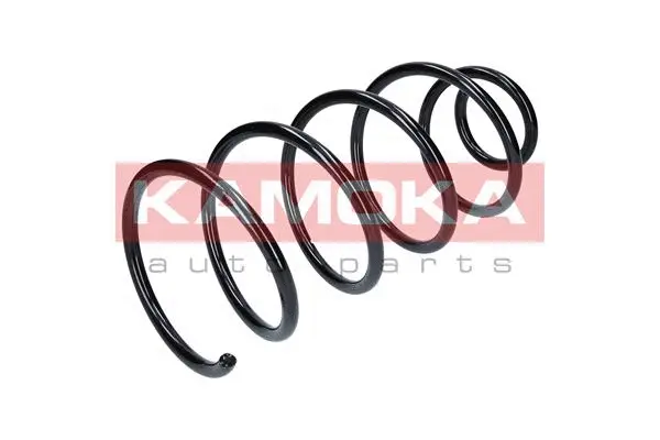 Suspension Spring (2110216)