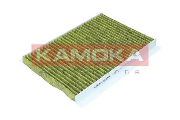 Filter, cabin air (6080134)