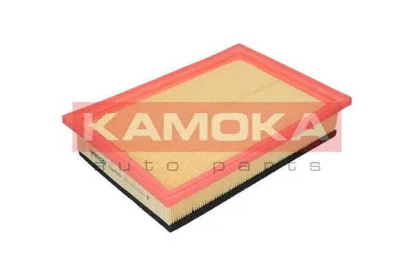 Air Filter (F205501)
