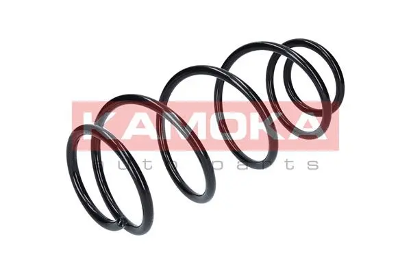 Suspension Spring (2110253)