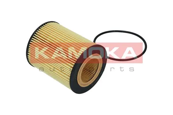 Oil Filter (F120001)