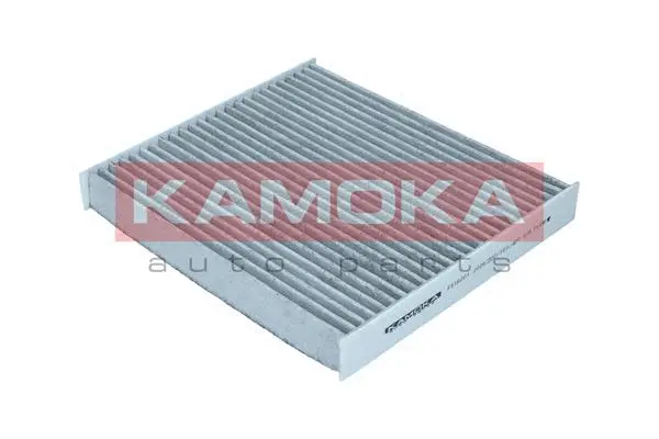 Filter, cabin air (F516001)