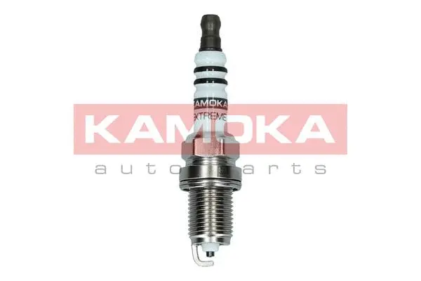 Spark Plug (7090513)