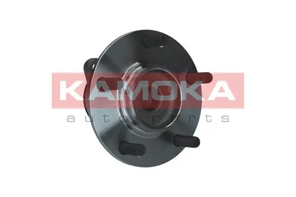 Wheel Bearing Kit (5500270)