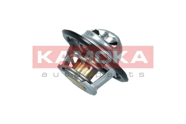 Thermostat, coolant (7710052)