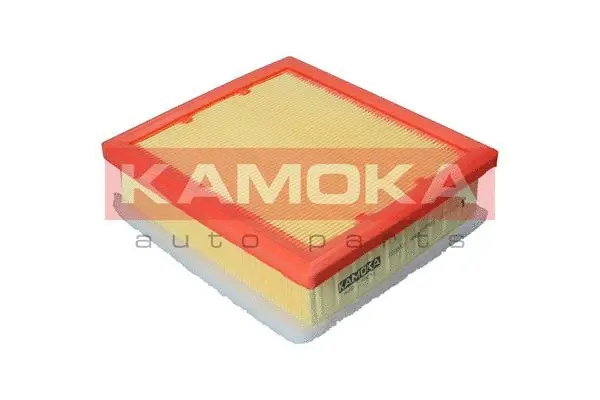 Air Filter (F238001)