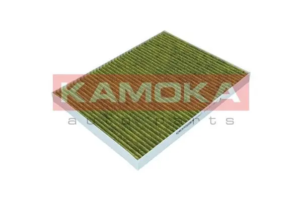 Filter, cabin air (6080037)