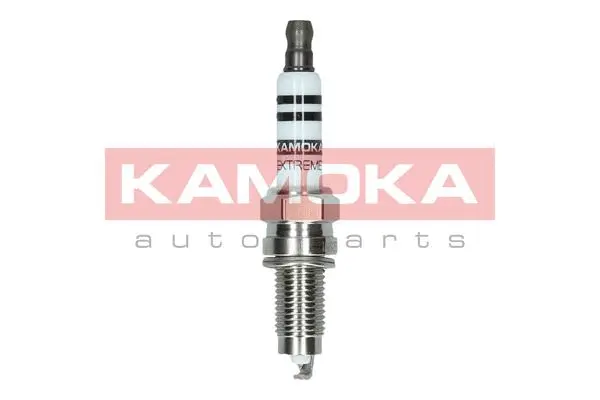Spark Plug (7100017)