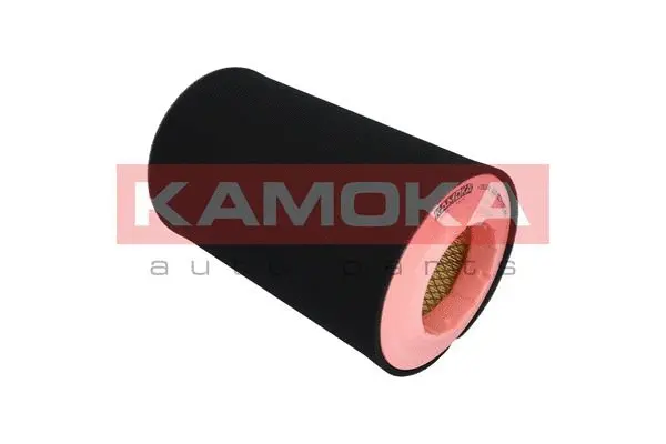 Air Filter (F252301)