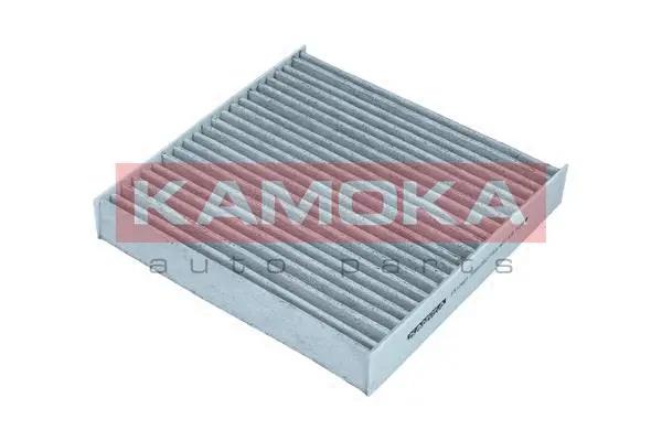 Filter, cabin air (F517601)
