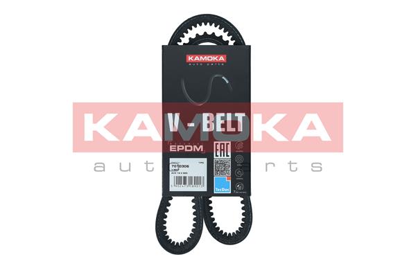 V-Belt (7010306)