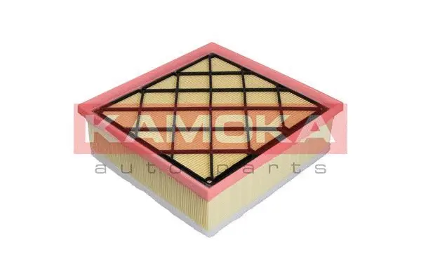 Air Filter (F222201)