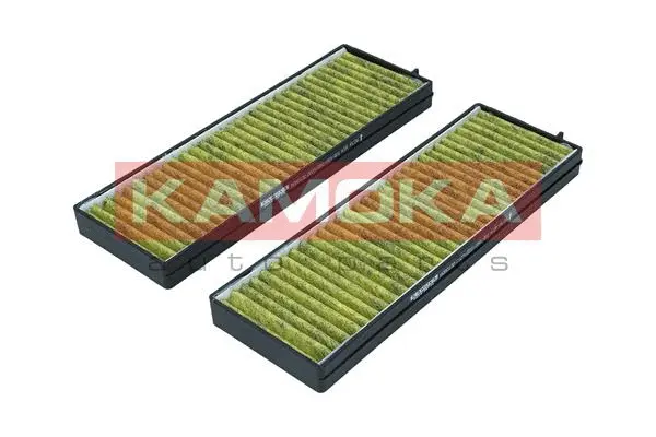Filter, cabin air (6080132)