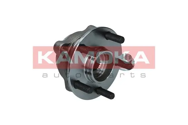 Wheel Bearing Kit (5500349)