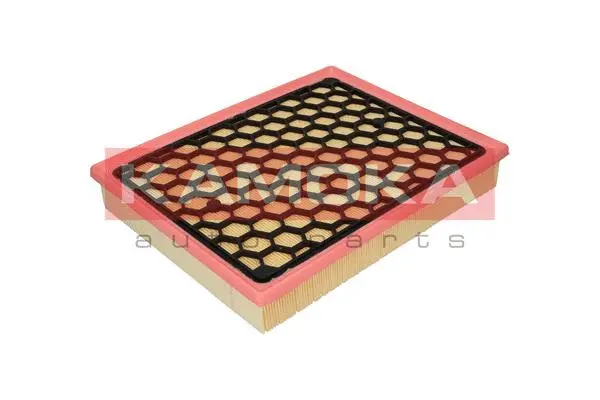 Air Filter (F205901)