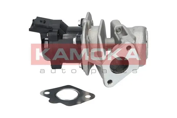 EGR Valve
