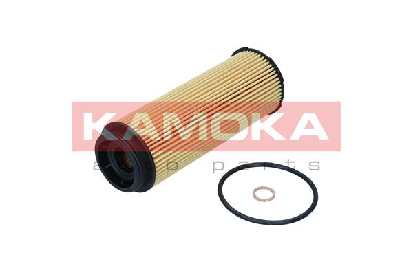 Oil Filter (F122001)