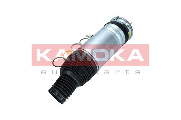 Air Spring, suspension