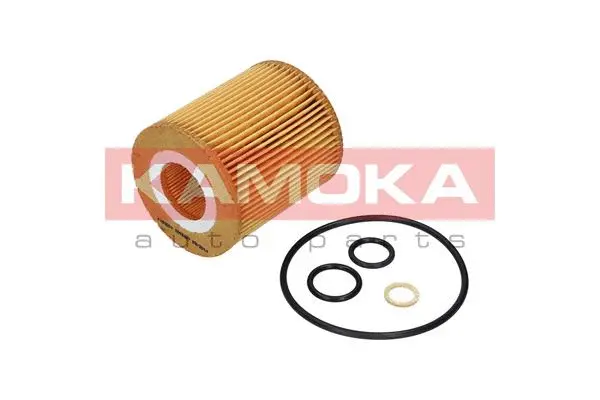 Oil Filter (F109501)