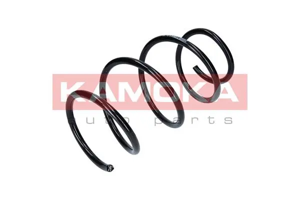 Suspension Spring (2110110)