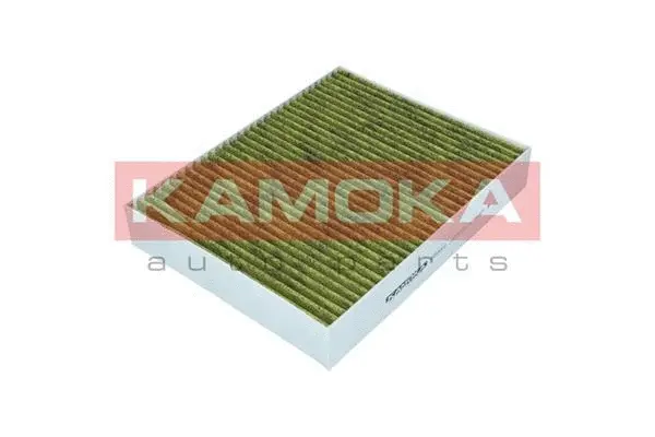 Filter, cabin air (6080068)