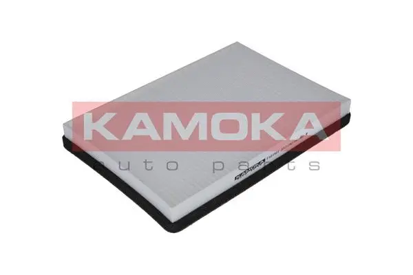 Filter, cabin air (F401501)