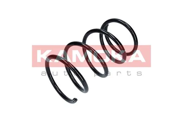 Suspension Spring (2110331)