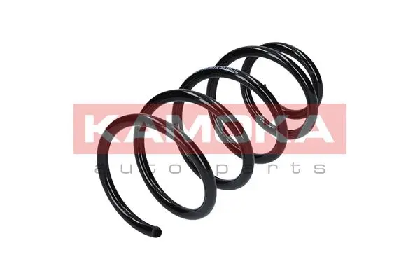 Suspension Spring (2120135)
