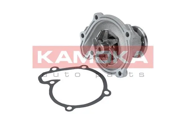 Water Pump, engine cooling (T0218)