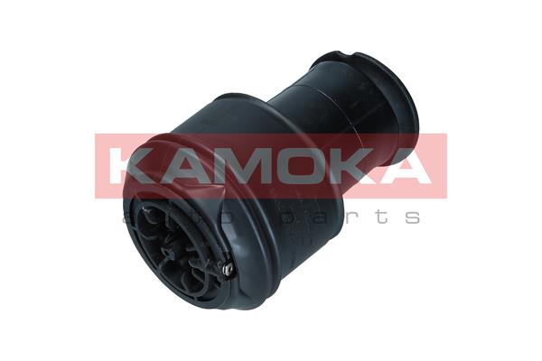 Air Spring, suspension (2079024)