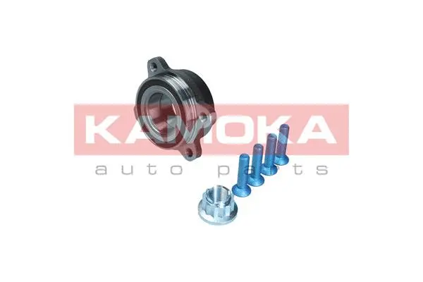 Wheel Bearing Kit (5500383)