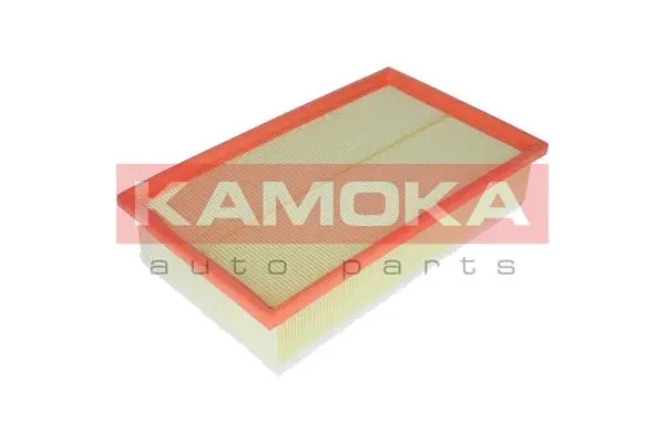 Air Filter (F231701)