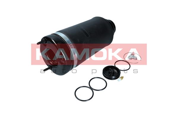 Air Spring, suspension (2079044)