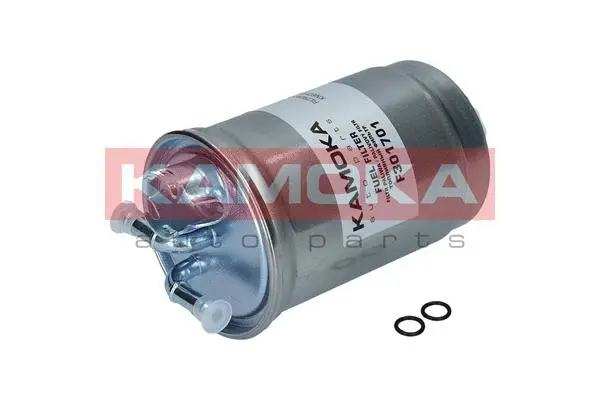 Fuel Filter (F301701)