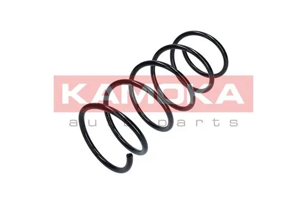 Suspension Spring (2110213)