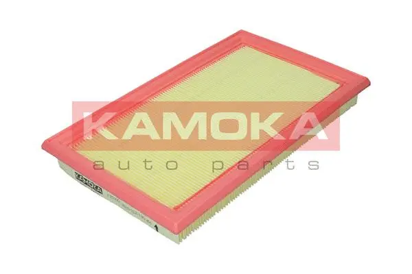 Air Filter (F250001)