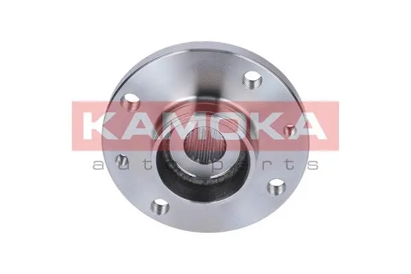 Wheel Hub (5500102)