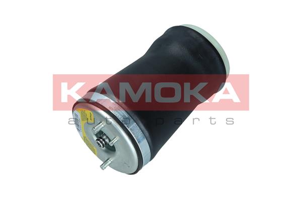 Air Spring, suspension (2079022)