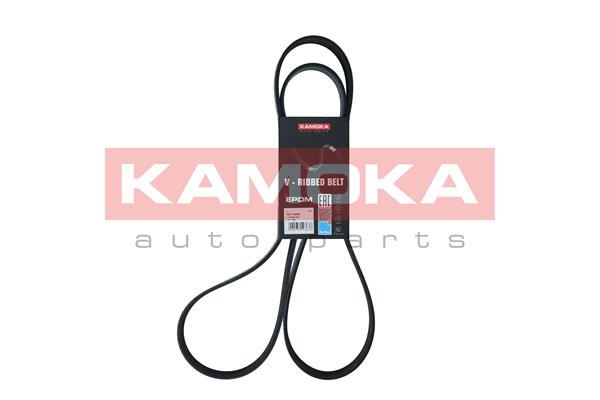 V-Ribbed Belt (7017030)