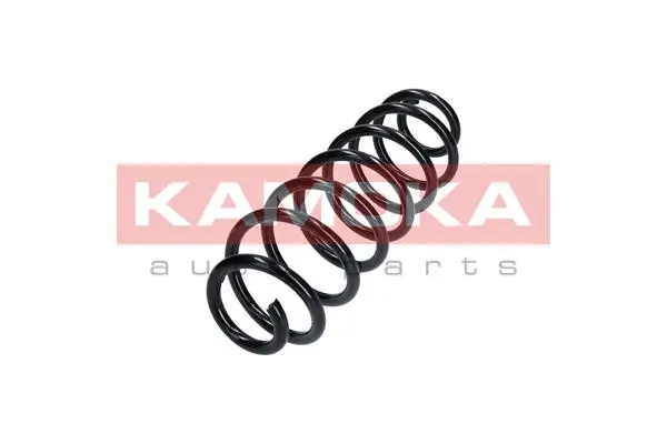 Suspension Spring (2120107)