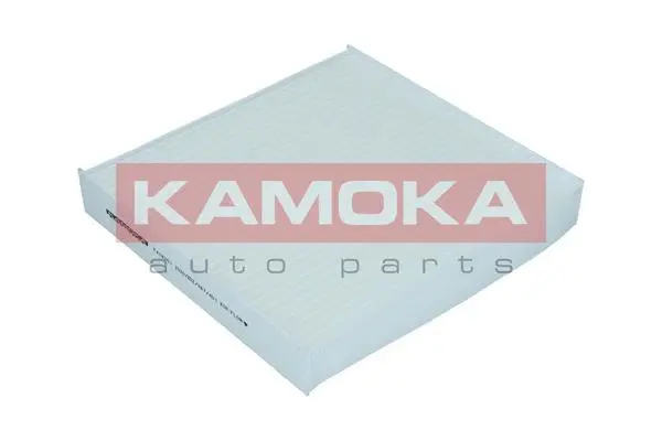Filter, cabin air (F418701)