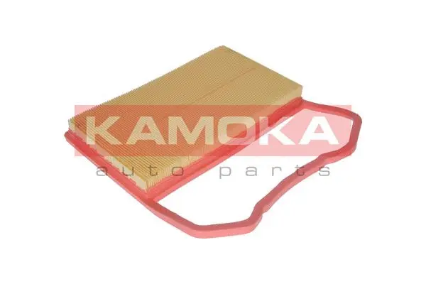Air Filter (F233801)