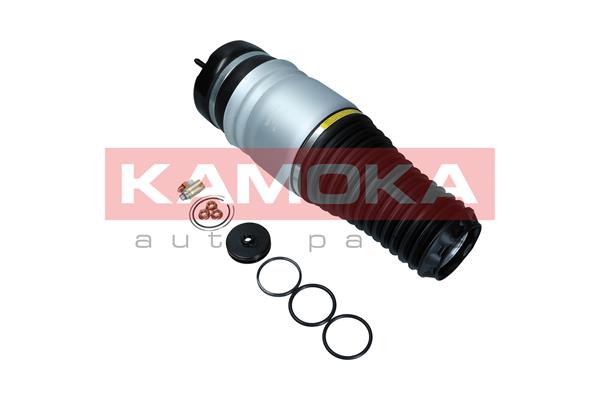 Air Spring, suspension