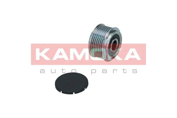 Alternator Freewheel Clutch