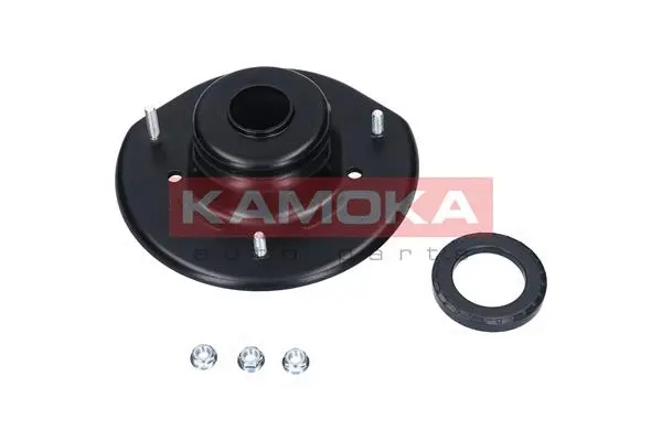Repair Kit, suspension strut support mount (209092)