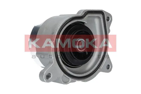 Water Pump, engine cooling (T0019)